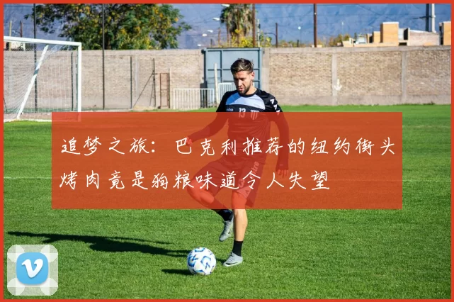 追梦之旅：巴克利推荐的纽约街头烤肉竟是狗粮味道令人失望