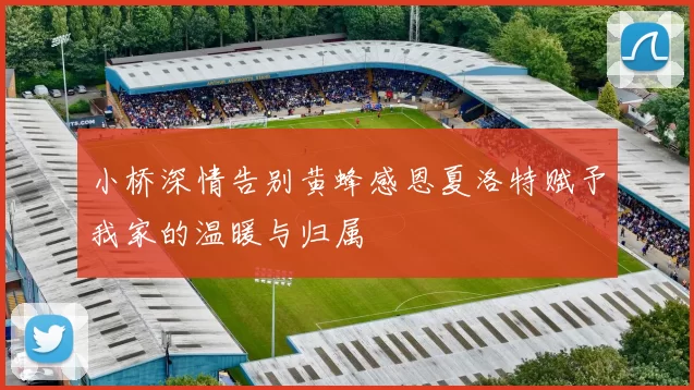 小桥深情告别黄蜂感恩夏洛特赋予我家的温暖与归属